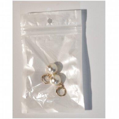 Užspaudžiami maišeliai Zip-lock ar Minigrip tipo MG-B 13x21 (100 vnt)