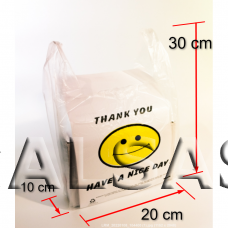 Plastikiniai maišeliai su rankenomis prekių įpakavimui. Matmuo 20 x 30 cm 15 mkr 100 vnt