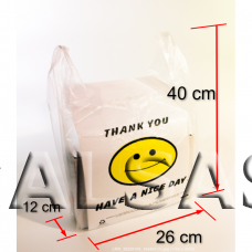 Plastikiniai maišeliai su rankenomis prekių įpakavimui. Matmuo 26 x 40 cm 15 mkr 100 vnt
