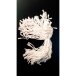 Manuaaliset etikettipidikkeet/Mikrotiivisteellä/Valkoinen kolminkertaisesti kudottu puuvilla/19 cm/100 kpl/pakkaus Manuaaliset etikettipidikkeet/Mikrotiivisteellä/Valkoinen kolminkertaisesti kudottu puuvilla/19 cm/100 kpl/pakkaus